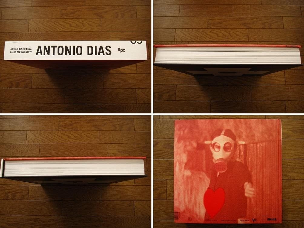 Antonio Dias : アントニオ・ディアス　現代アート