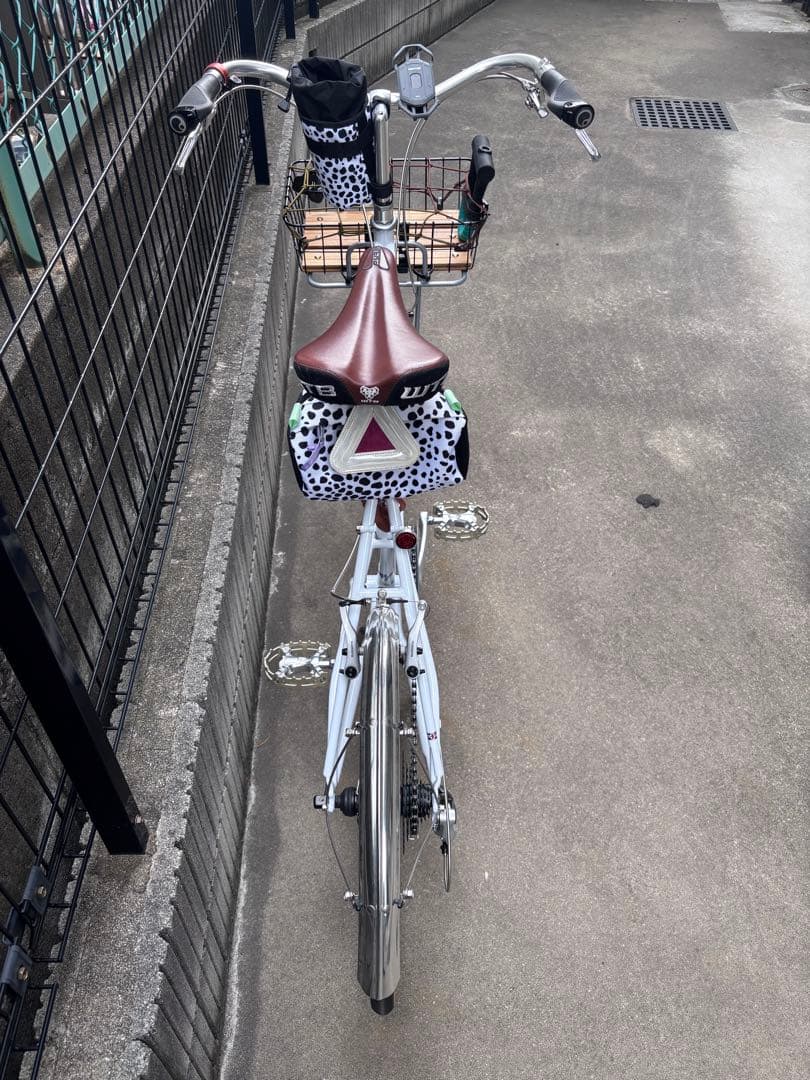 RALEIGH RSM ラレー ミニベロ ブルーラグ カスタム