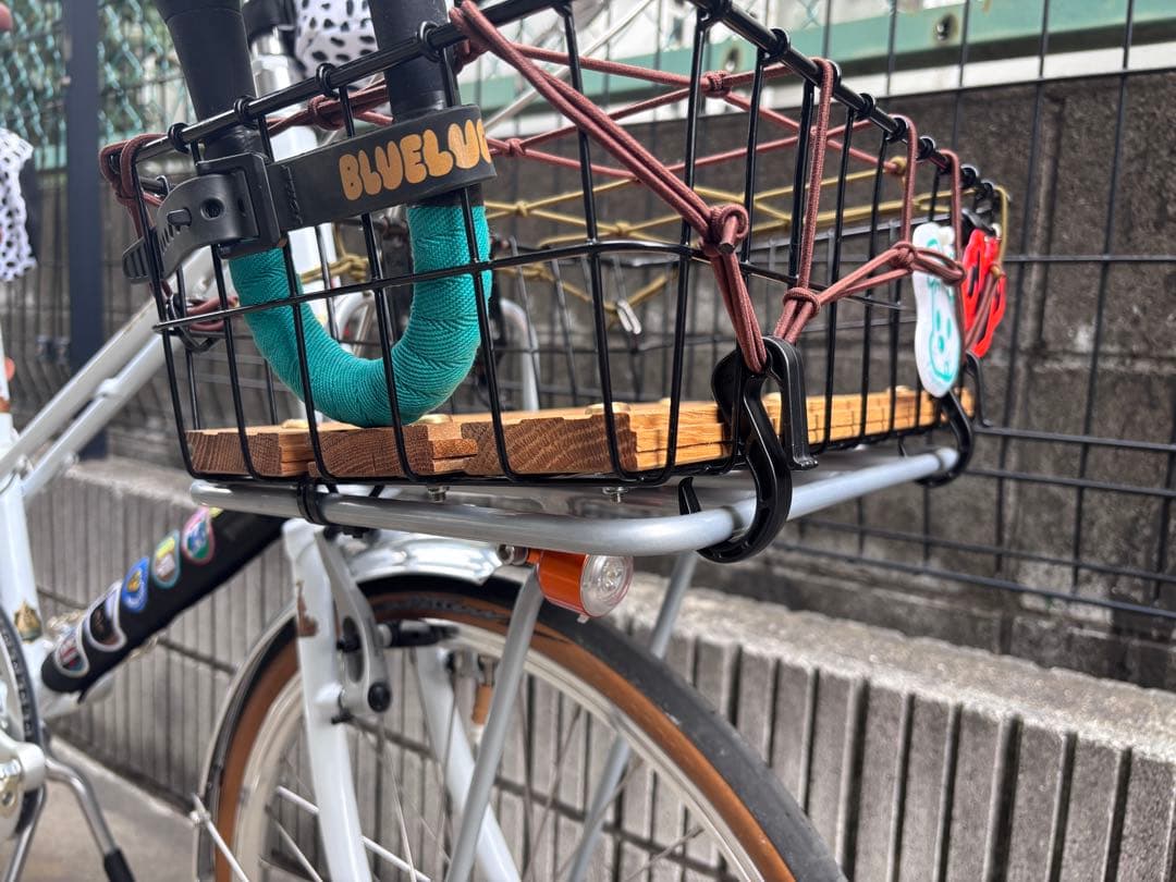 RALEIGH RSM ラレー ミニベロ ブルーラグ カスタム