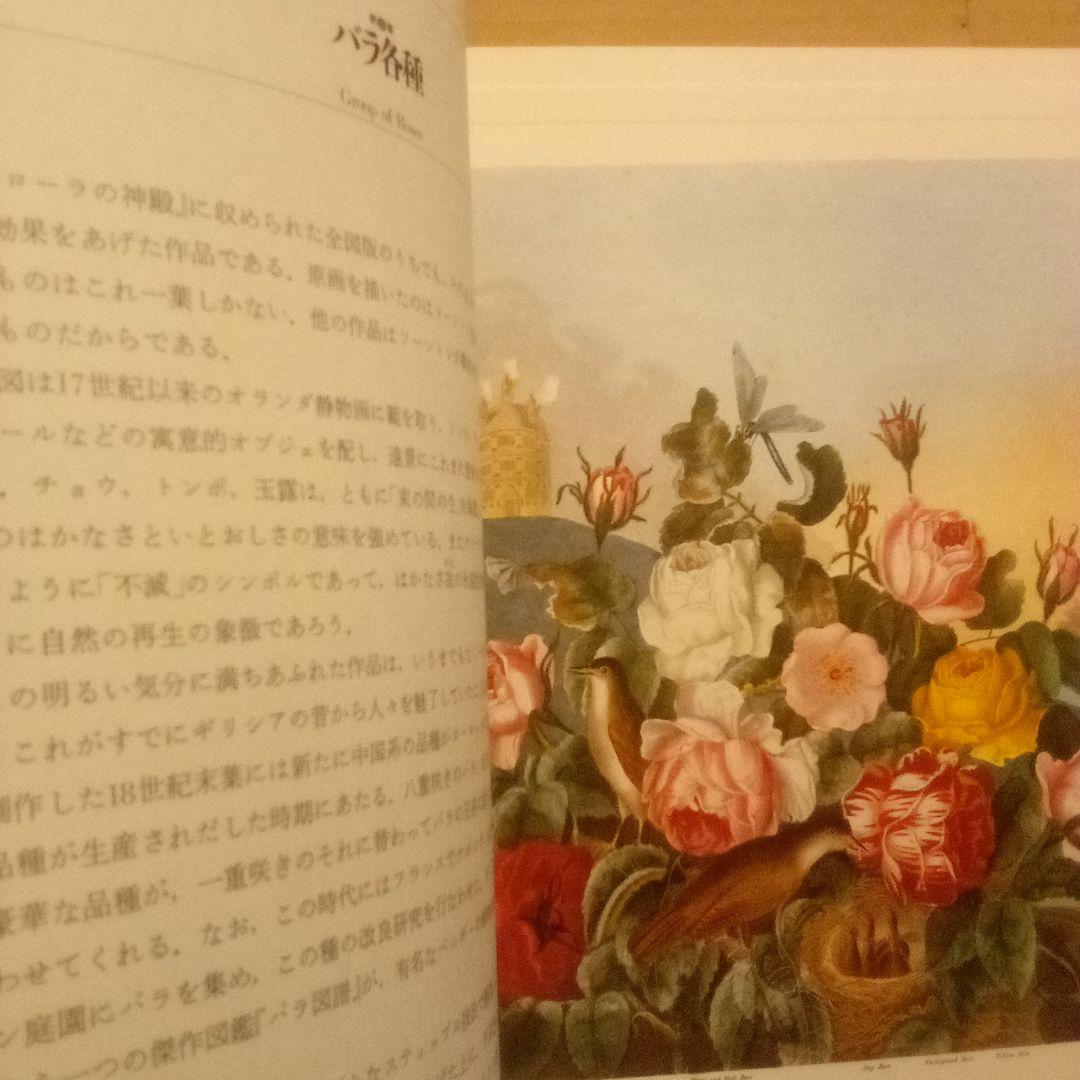 絶版／フローラの神殿　R・J・ソーントン　荒俣宏 編著　リブロポート　1985年