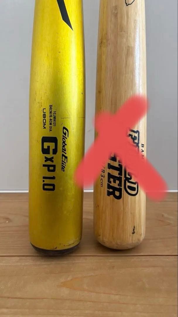 Mizuno GxP10 & Field Master バットセット