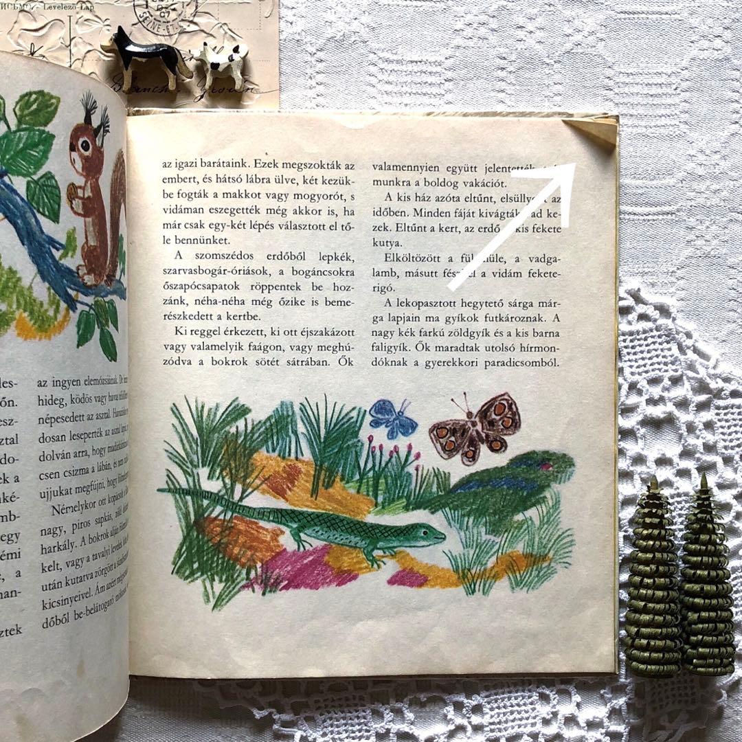 RV53洋書古書 ハンガリー語絵本☆ レイク・カーロイ