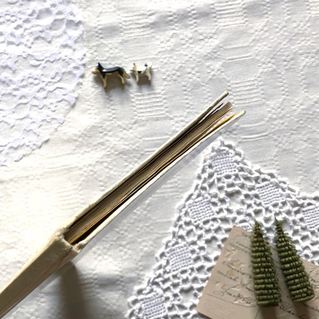 RV53洋書古書 ハンガリー語絵本☆ レイク・カーロイ