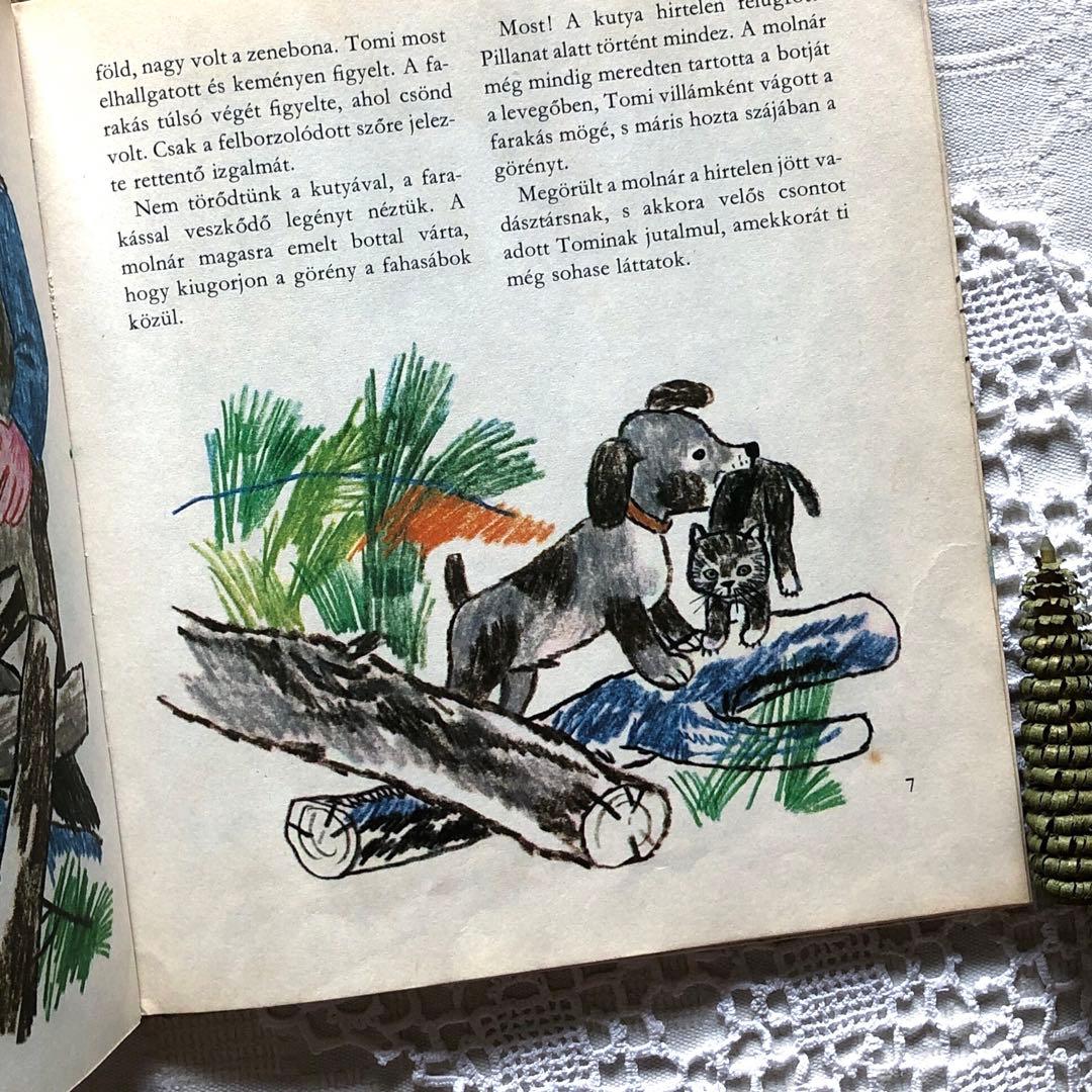 RV53洋書古書 ハンガリー語絵本☆ レイク・カーロイ