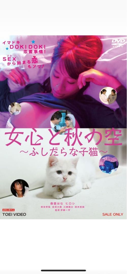 【新品未使用】色恋　丸純子　出演他　セル版DVD 特別６枚セット