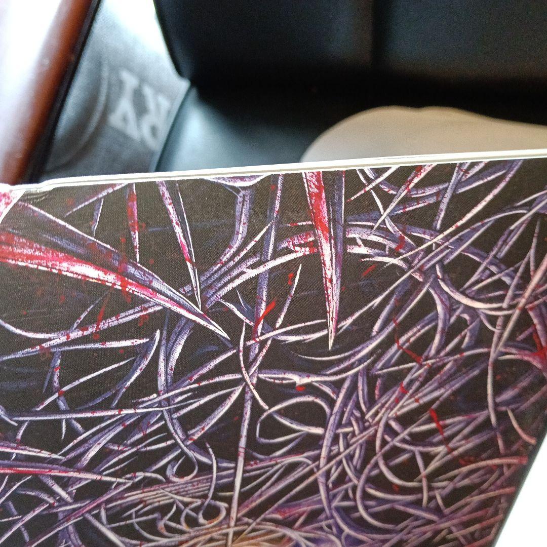 D-STYLES PHANTAZMAGOREA 12インチレコード