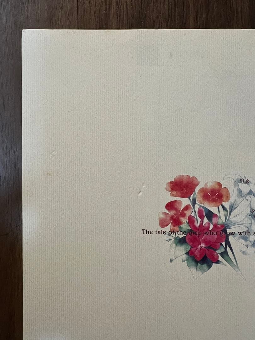 【中古】FLOWERS(FLOWERS春篇ファンブック)(初版版)【書籍】