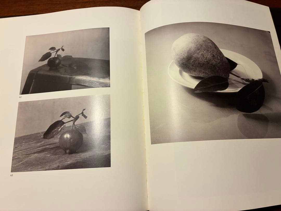 ヨゼフ・スデック Josef Sudek Zatisi Still Lifes