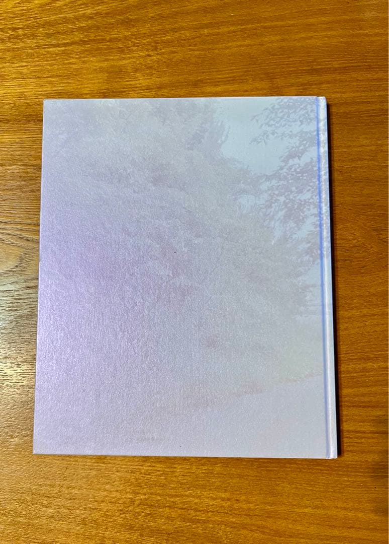 アート・デザイン・音楽 Rinko Kawauchi The  embraced me