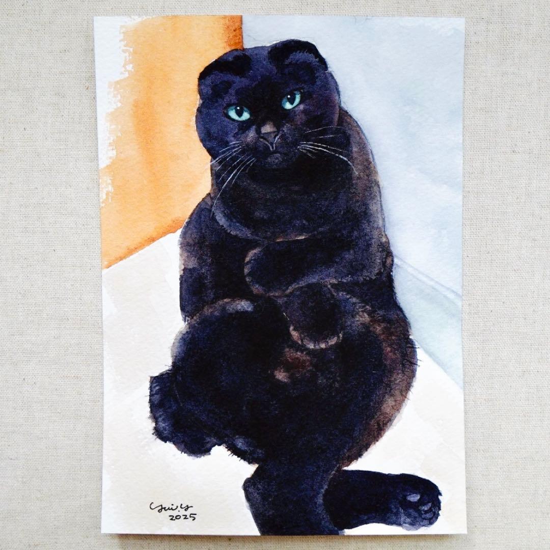 カプリ345ページ