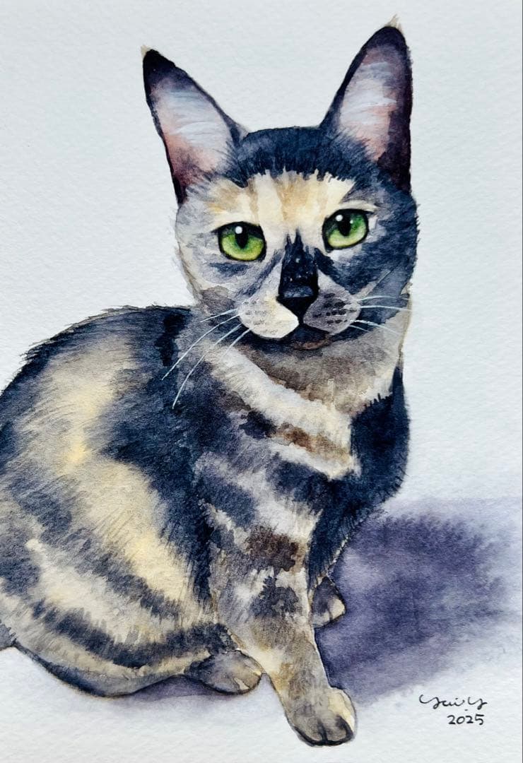 カプリ345ページ