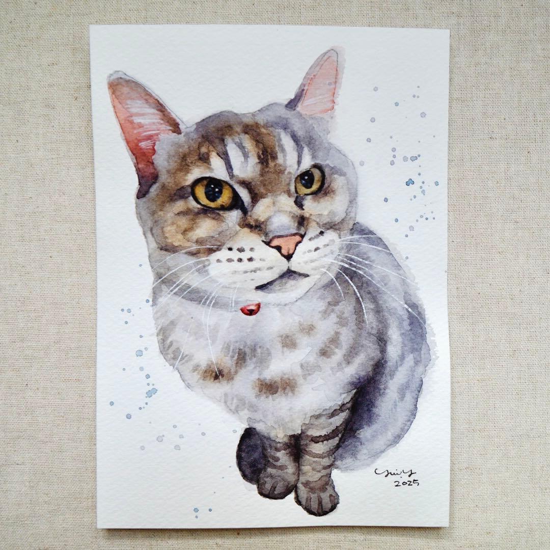 カプリ345ページ