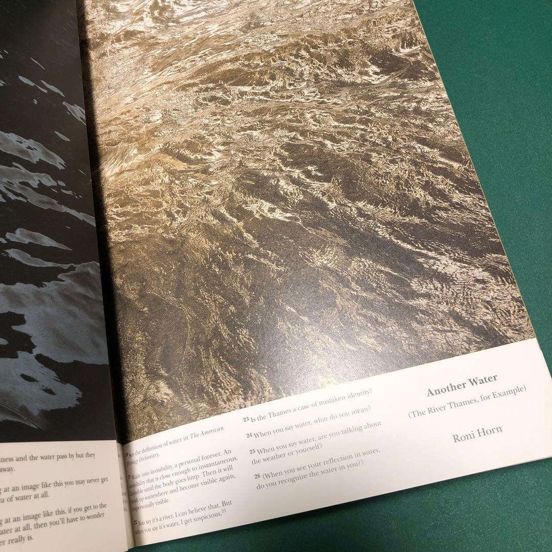 アート・デザイン・音楽 ANOTHER WATER by Roni Horn