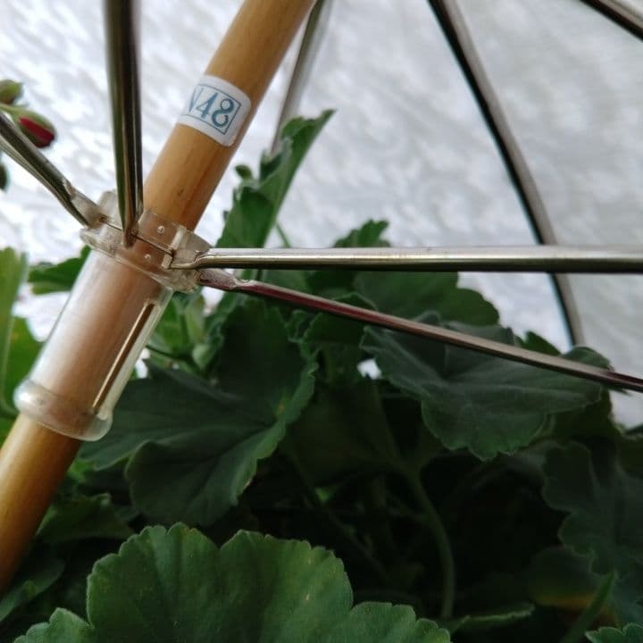 ホワイト レース 日傘 貴重品です。真っ白です。