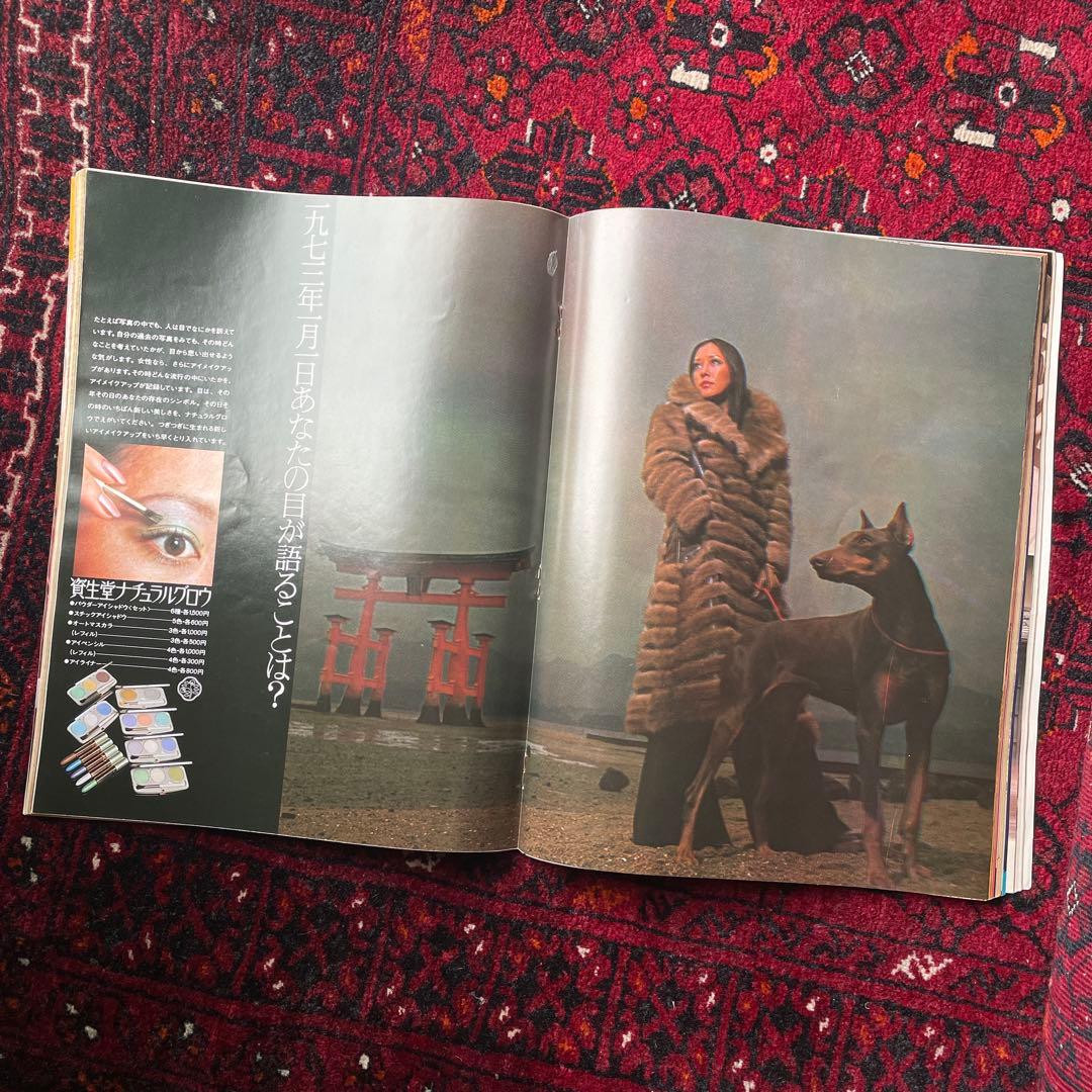 ビンテージ雑誌　an・an no.67