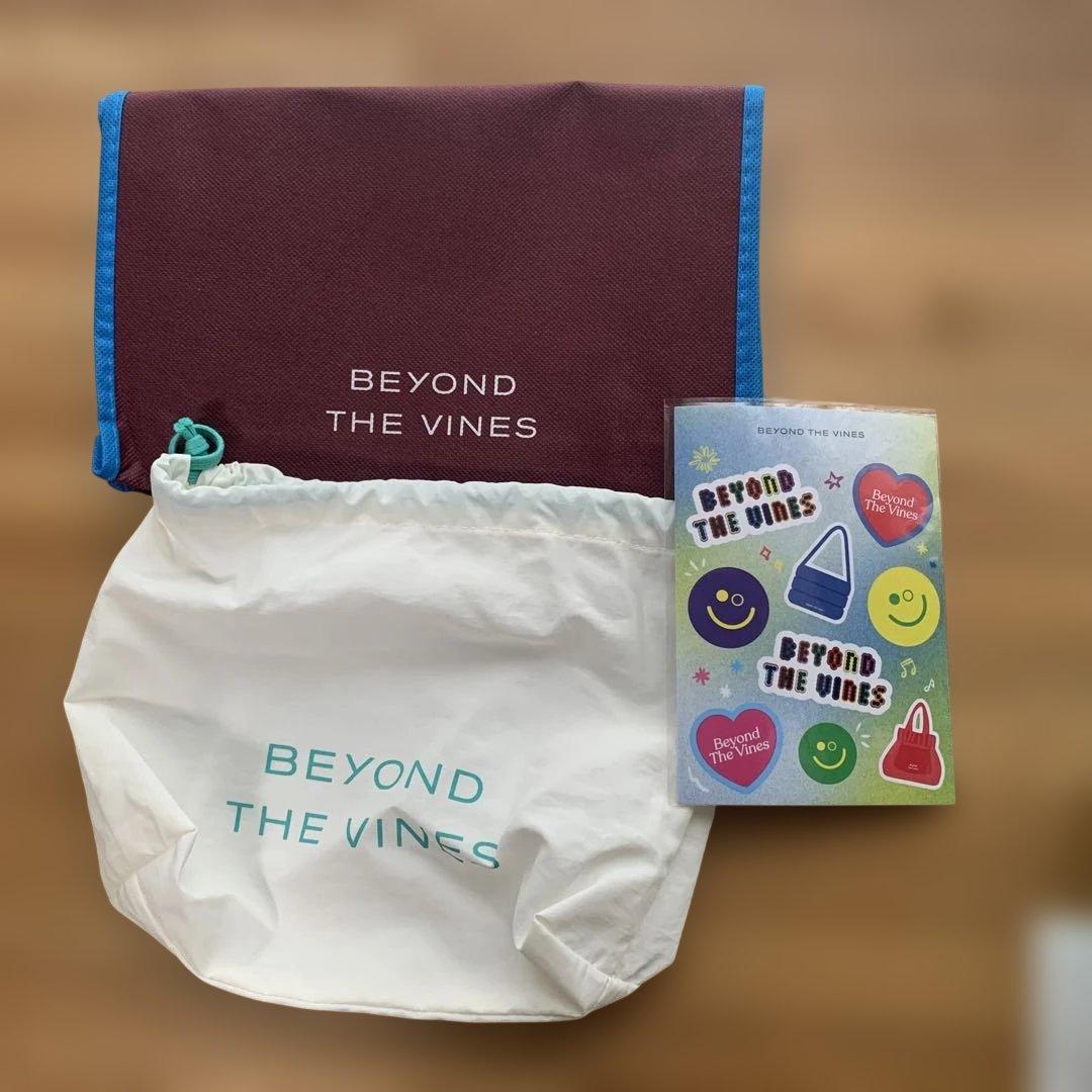 BEYOND THE VINES ミニショルダーバック ターコイズ　収納袋2点