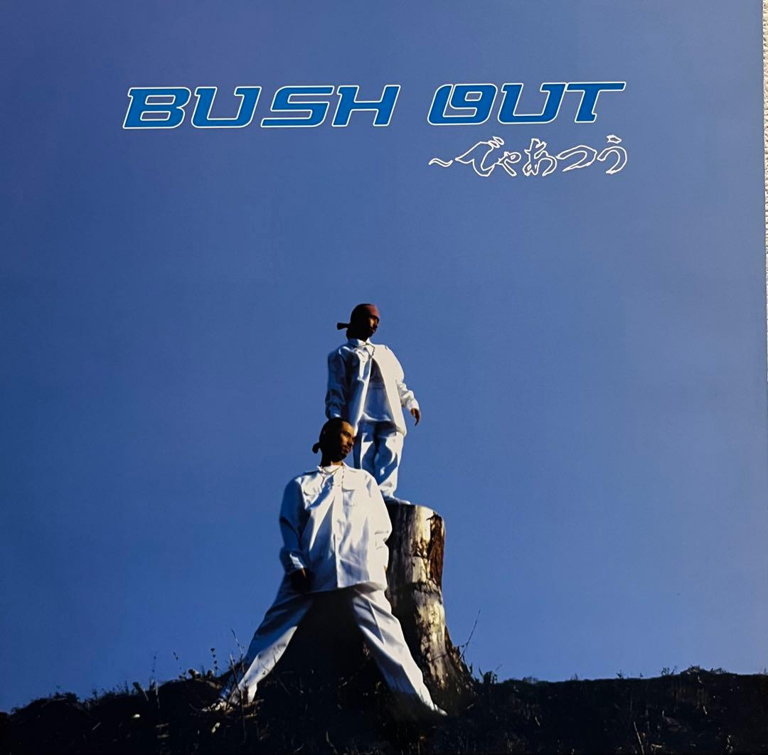 ACKEE&SALTFISH / BUSH OUT レゲエ レコード ジャパレゲ