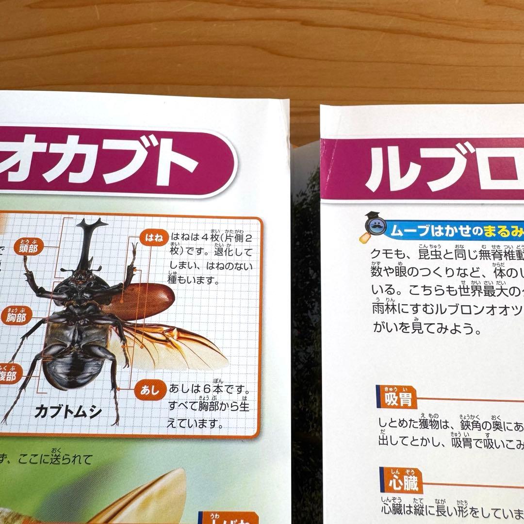 図鑑move 図鑑move mini セット 合計20冊 DVDなし 図鑑のみ