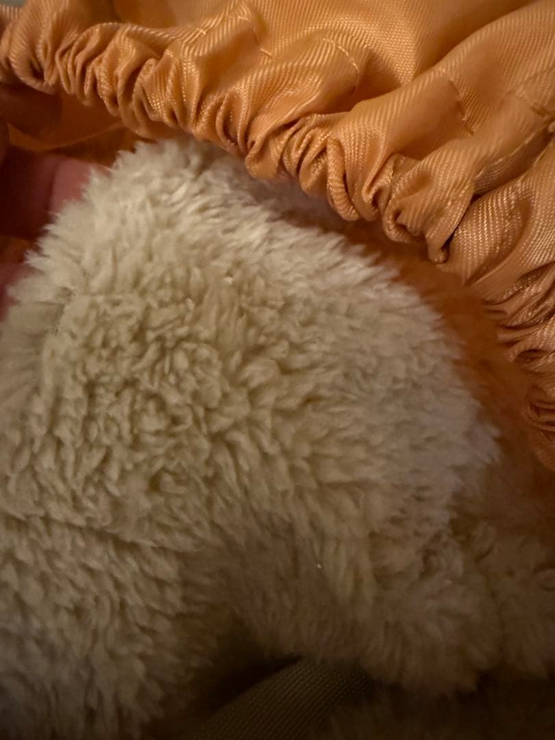 【2024年1ヶ月間の室内展示】コスコト購入ライトアップベアー 高さ約243cm