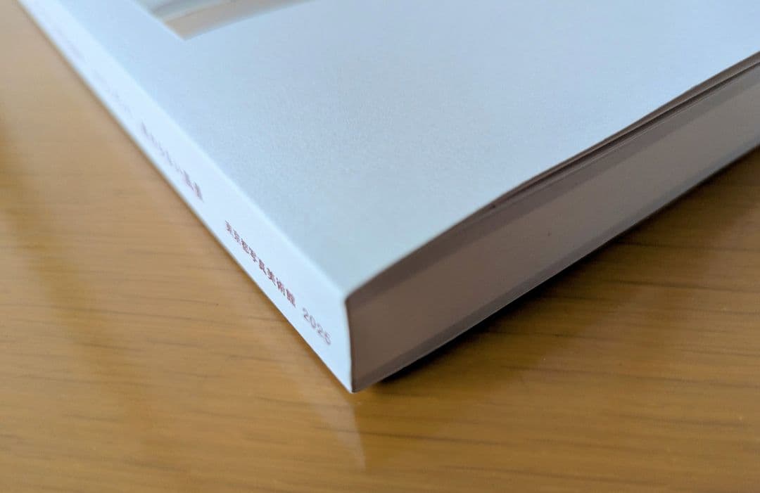 ルイジ・ギッリ 無限の風景 Luigi Ghirri　東京都写真美術館　図録