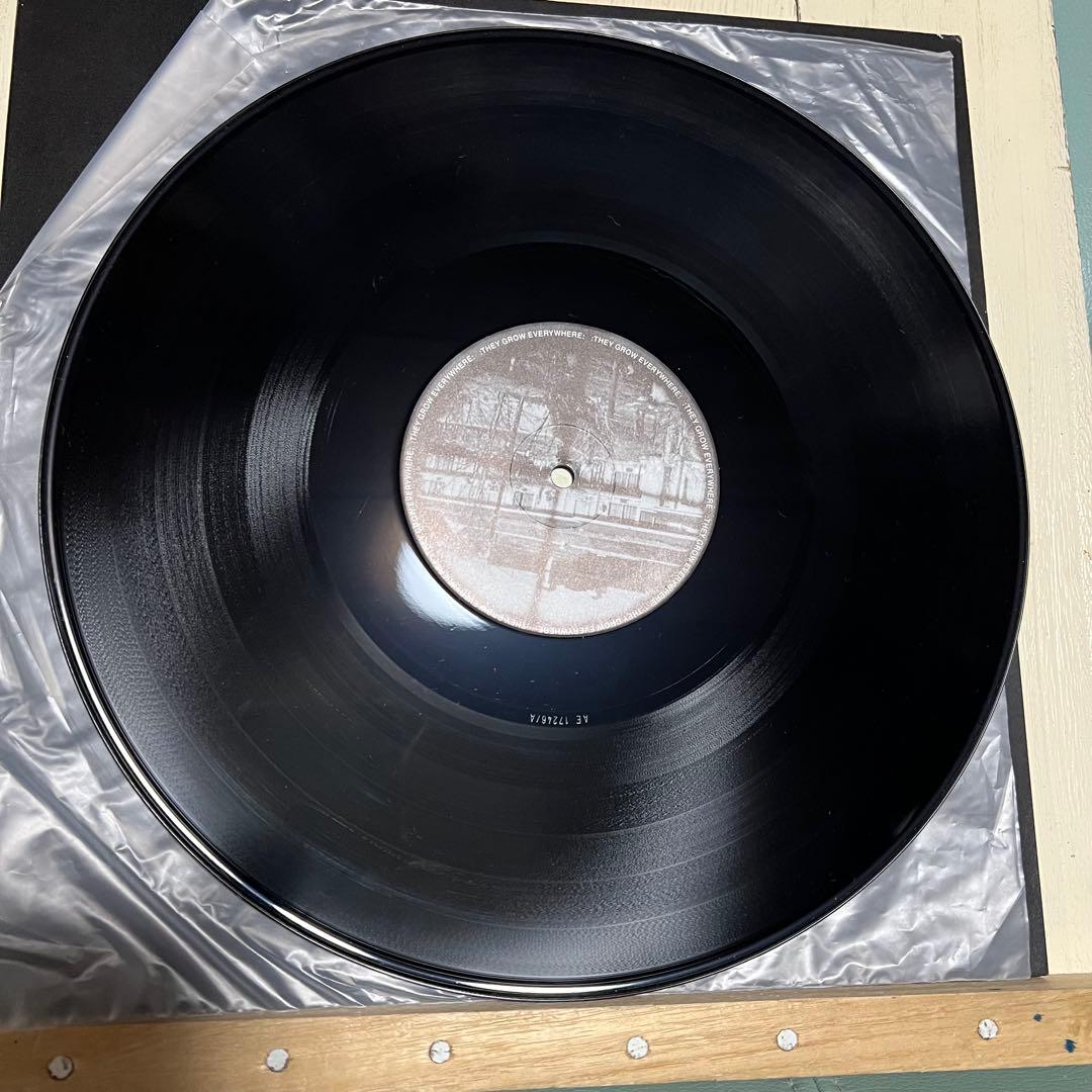 GENOCIDE ORGAN truth 〜LP+CD original 盤