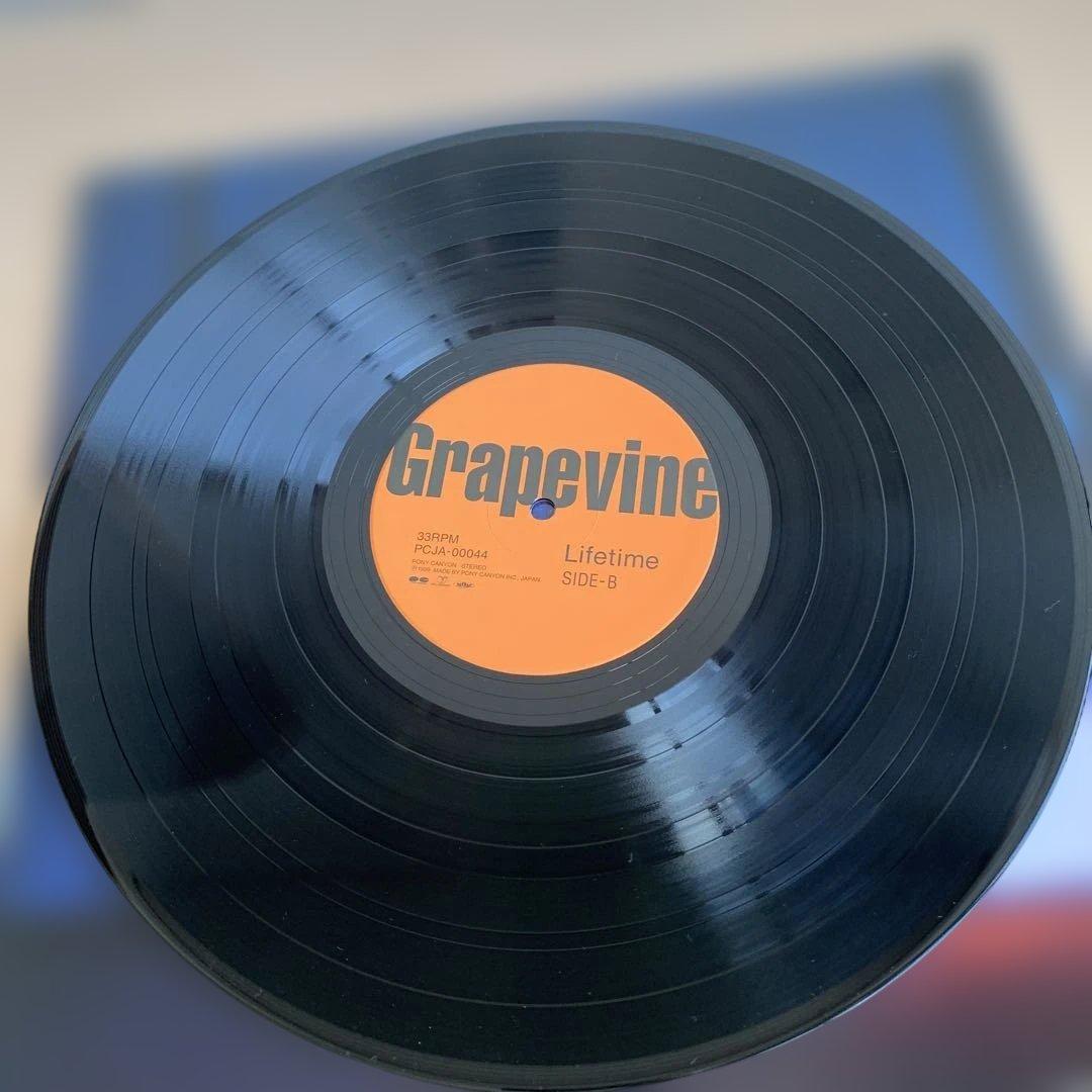 GRAPEVINE/LIFETIME LPレコード