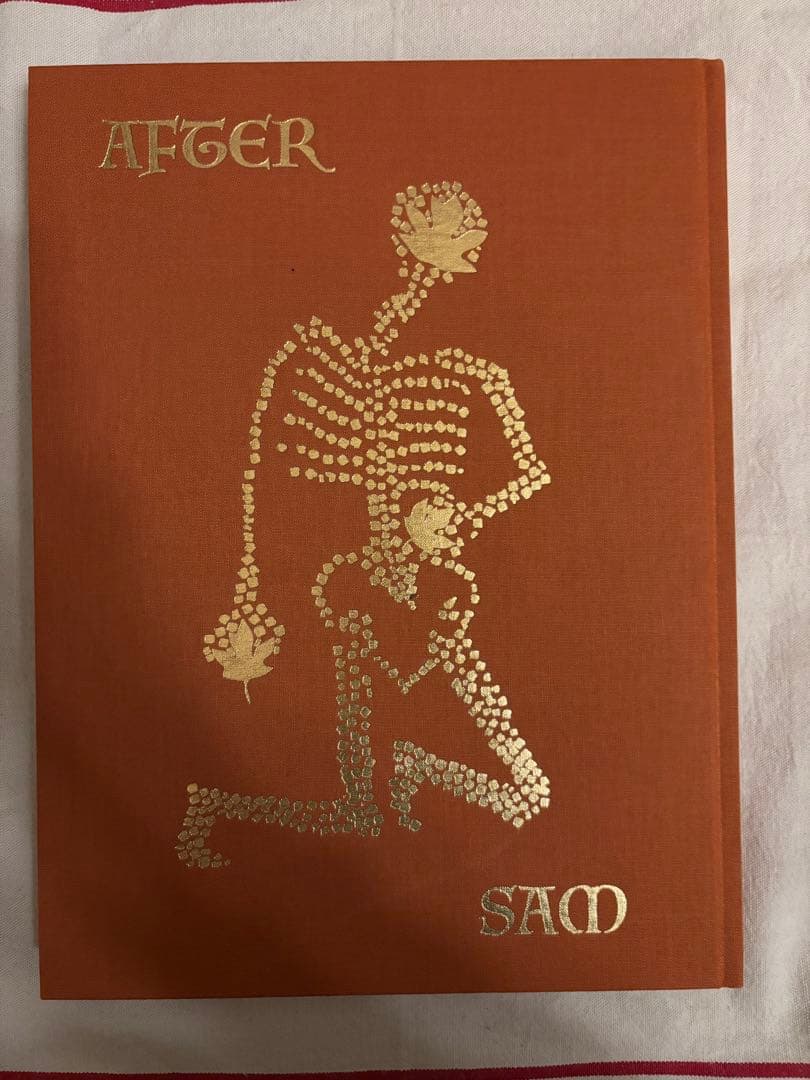 アート・デザイン・音楽 Sam Falls - After Life