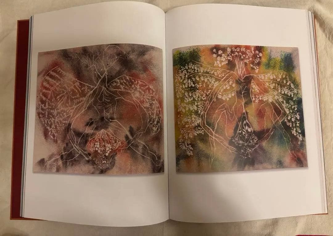 アート・デザイン・音楽 Sam Falls - After Life