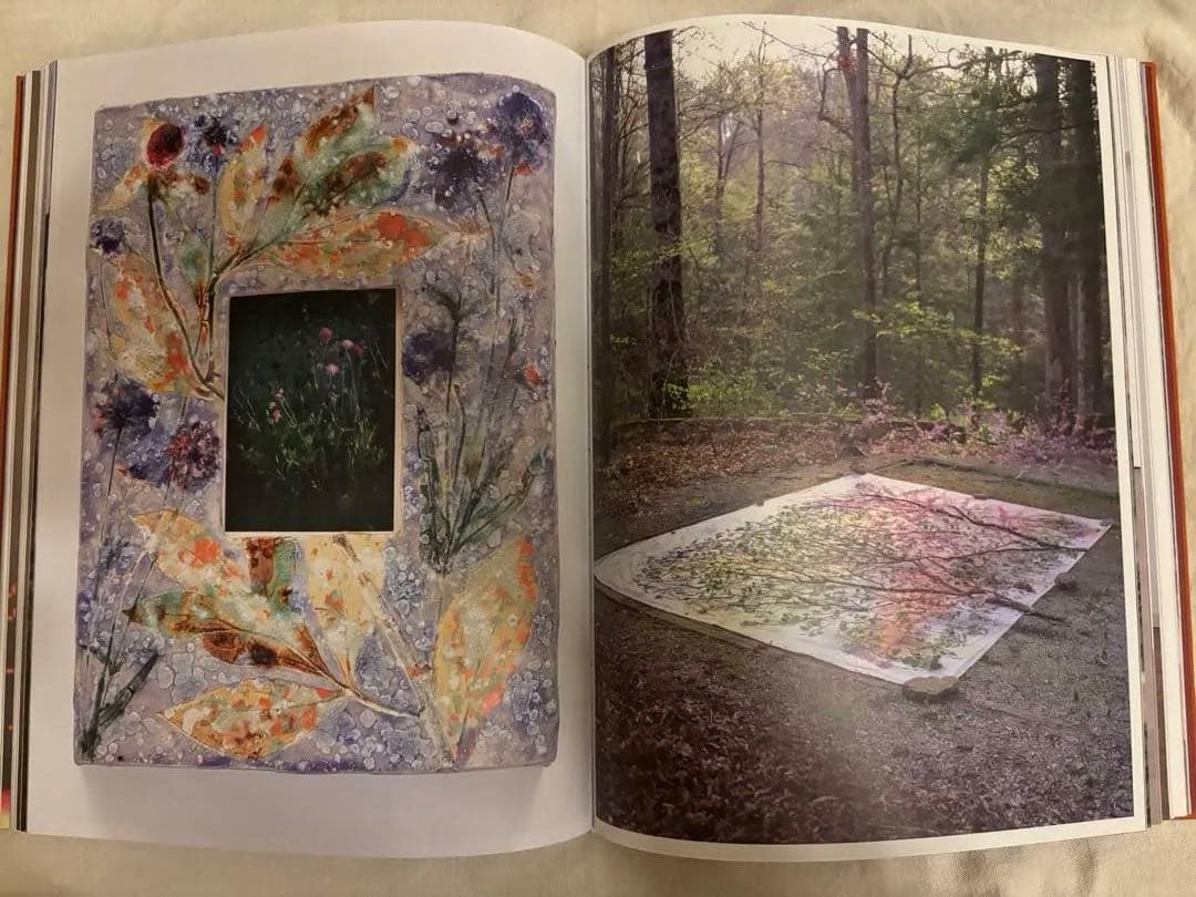 アート・デザイン・音楽 Sam Falls - After Life