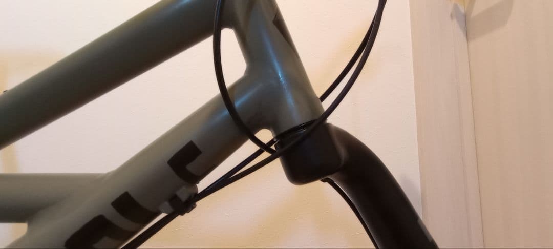 たのメル便　Cannondale Hooligan Lefty