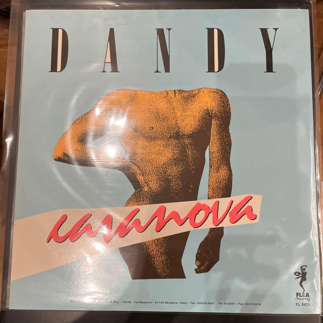 洋楽 DANDY Casanova ITALIAN FLEA