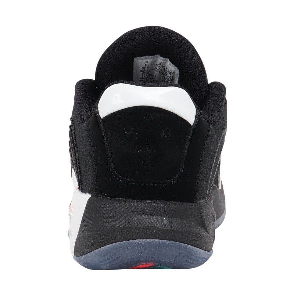 JORDAN LUKA 4 PF ジョーダン　ルカ　4 PF 25cm US7