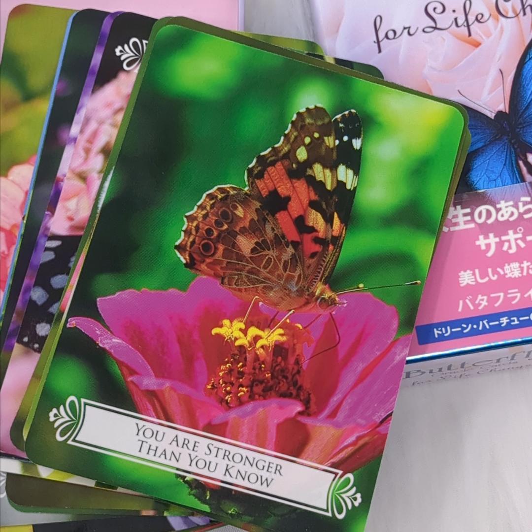絶版希少デッキ【正規品・日本語版・美品】バタフライオラクルカード ドリーン