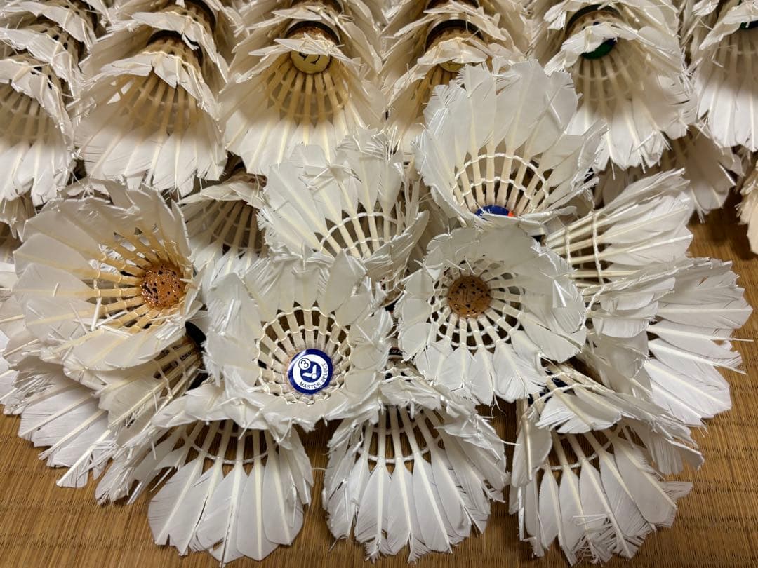 バドミントンシャトル【中古】240個⓲