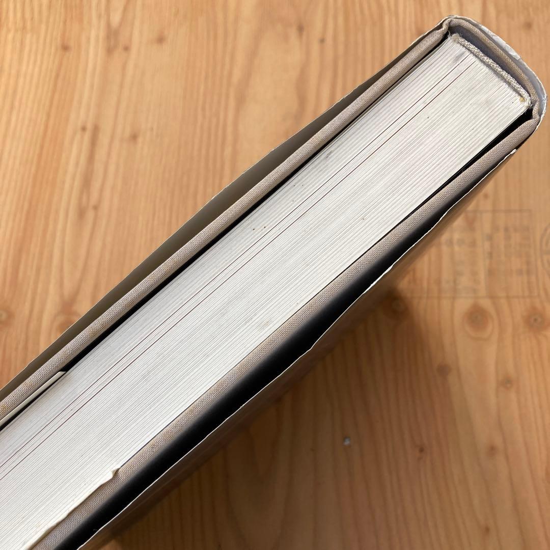 ROBERT MAPPLETHORP ロバート・メイプルソープ写真集ドイツ版