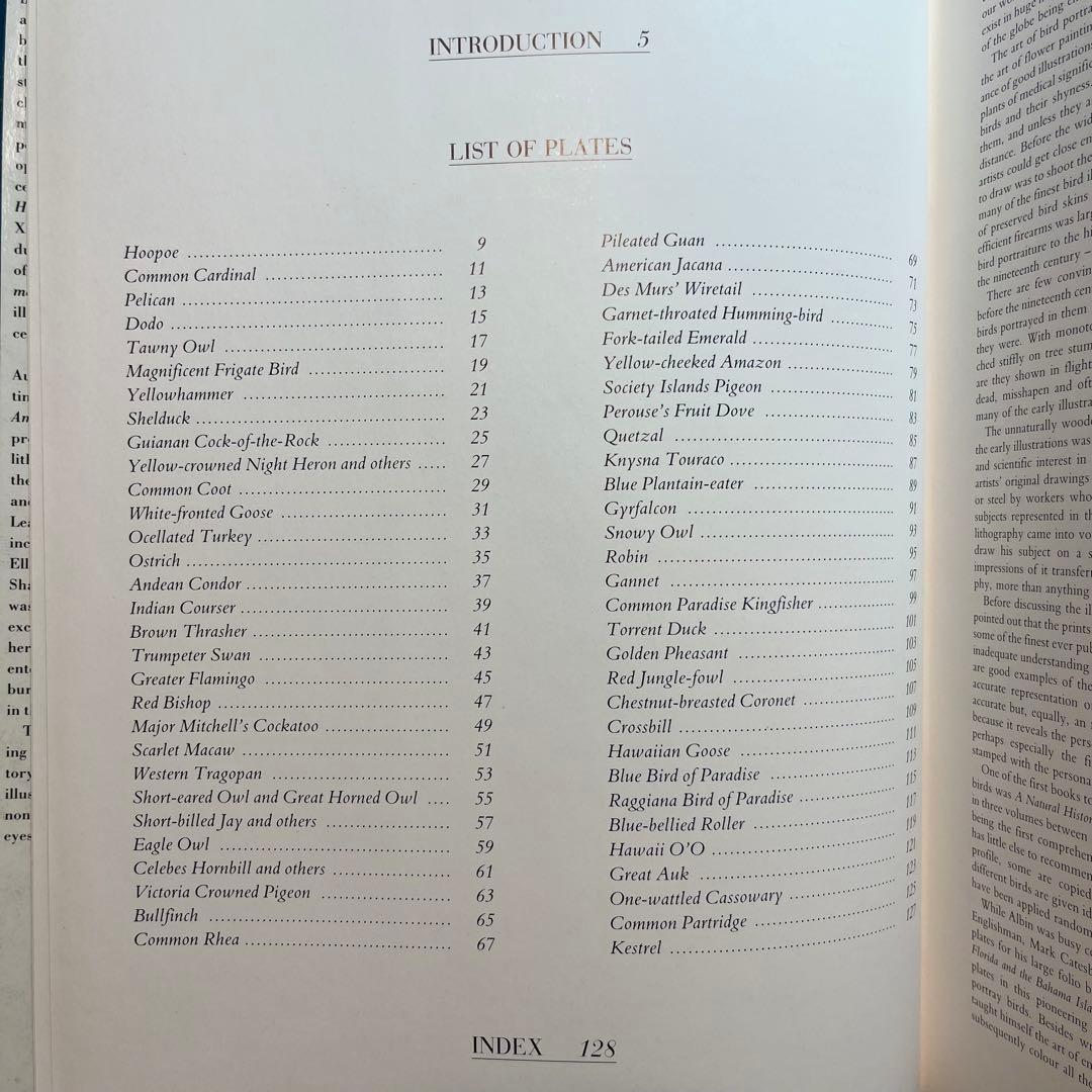 アート・デザイン・音楽 CLASSIC NATURAL HISTORY PRINTS BIRDS