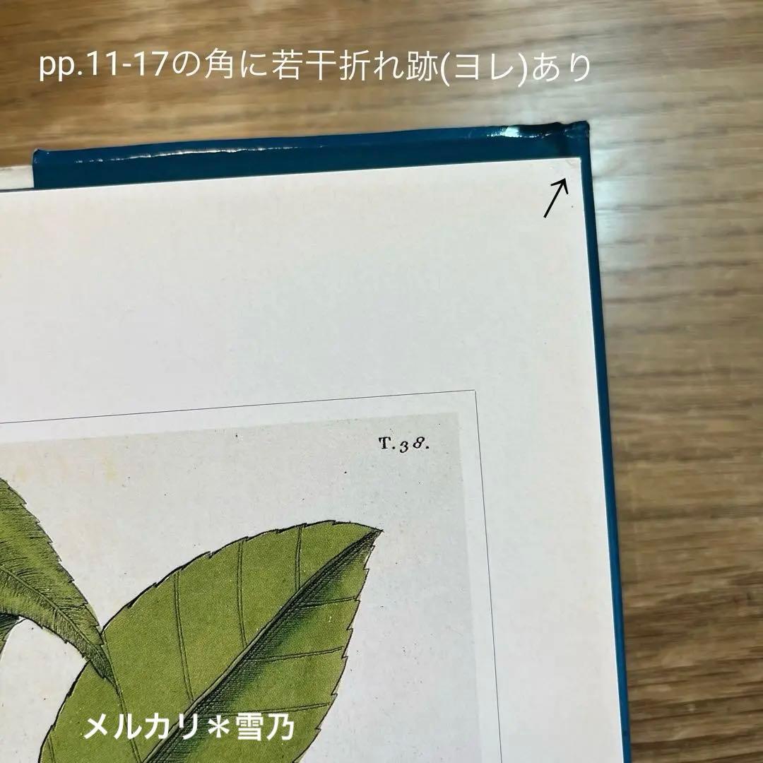 アート・デザイン・音楽 CLASSIC NATURAL HISTORY PRINTS BIRDS