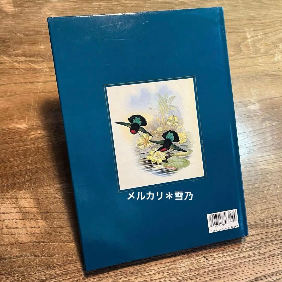 アート・デザイン・音楽 CLASSIC NATURAL HISTORY PRINTS BIRDS