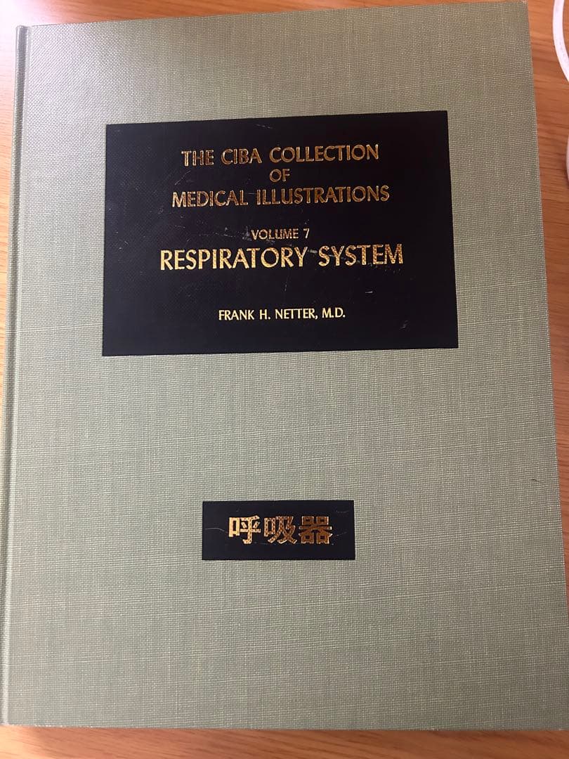 ネッター 医学図譜集 （III）【医学書 専門書 解剖学】丸善　医学本